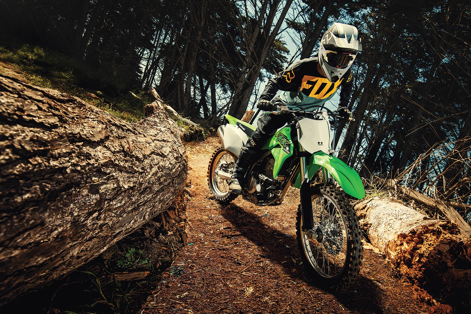 Kawasaki KLX300R